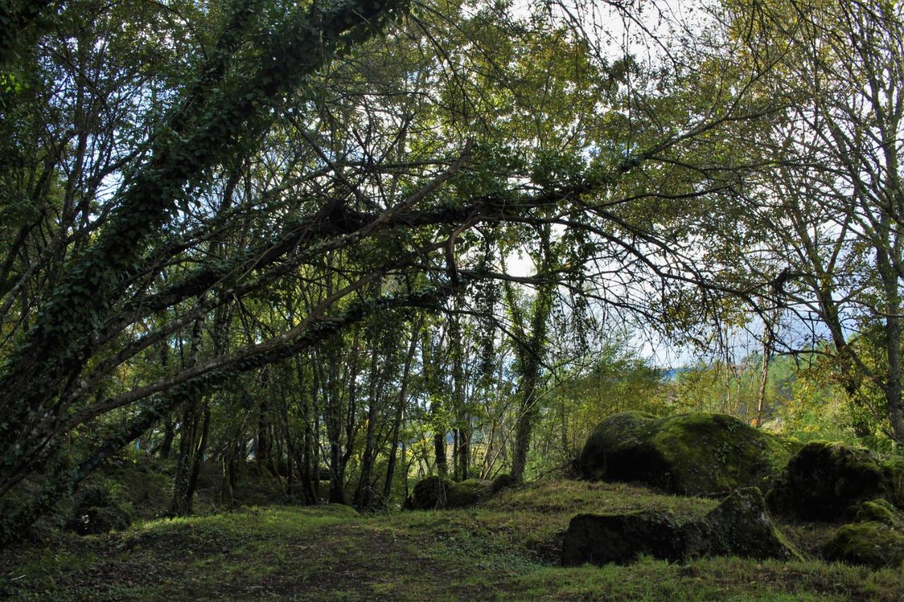 5ª D'Azenha - River And Nature Amarante Exterior photo